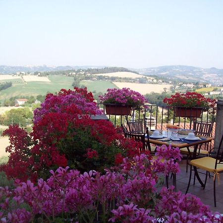 La Terrazza Fio...Rita Acomodação com café da manhã Ripa Exterior foto